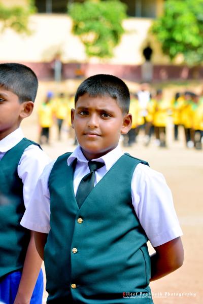 88166287 2490243514627100 6319289892044013568 N