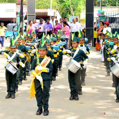 88197300 2490241977960587 5210425019498233856 N