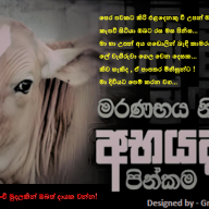 තවත් එක් පුණ්‍ය ක්‍රියාවක්